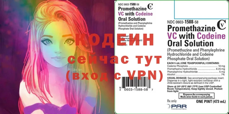 где можно купить   Краснознаменск  Codein Purple Drank 